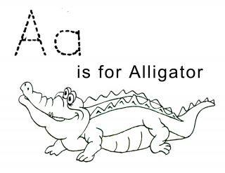 kolorowanki aligator do druku online 