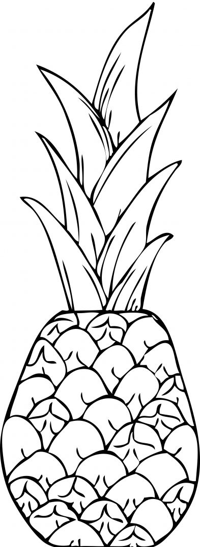 kolorowanki ananasy do pobrania 