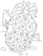 malowanki ananasy do druku 1