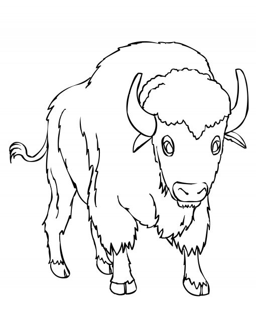 kolorowanki bizon do pobrania online 1