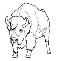 malowanki bizon do druku za darmo 
