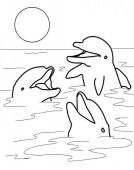 kolorowanki delfiny do druku 1