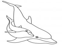 kolorowanki delfiny do druku online 