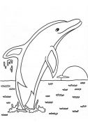 kolorowanki delfiny do druku za darmo 1