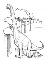 kolorowanki dinozaury do druku online 2