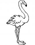malowanki flamingi do druku online 