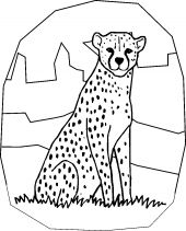 kolorowanki gepard do pobrania 