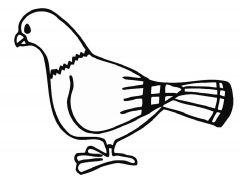 malowanki golebie do druku online 