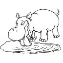 kolorowanki hipopotam do druku online 