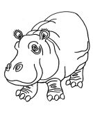 kolorowanki hipopotam do pobrania online 