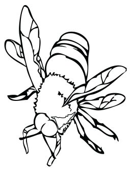 malowanki insekty do druku online 