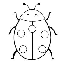 malowanki insekty do druku online 1