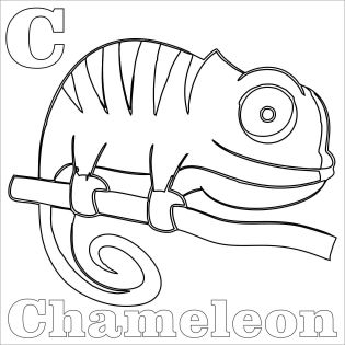 kolorowanki kameleon do druku online 
