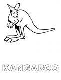 kolorowanki kangur do pobrania online 