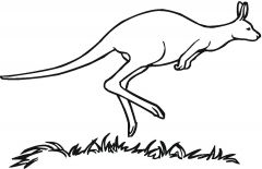 malowanki kangur do pobrania 2