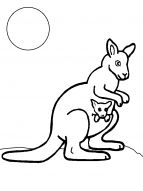 malowanki kangur do pobrania 