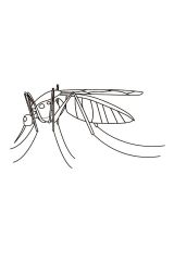 kolorowanki komary do druku online 1