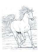 malowanki konie do druku online 2