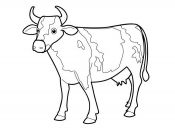 malowanki krowa do druku online 2