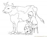 malowanki krowa do pobrania 1