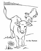 malowanki krowa do pobrania 2
