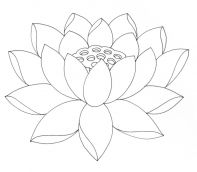 kolorowanki kwiaty lotosu do druku za darmo 1