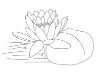 malowanki kwiaty lotosu do druku 