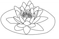 malowanki kwiaty lotosu do pobrania 1