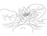 malowanki kwiaty lotosu do pobrania online 