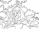 kolorowanki lwy do pobrania 2