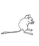 malowanki myszy do druku online 
