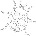 kolorowanki owady do druku online 2