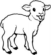 kolorowanki owce do druku online 