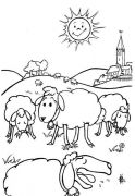 kolorowanki owce do pobrania online 2