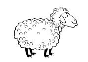 malowanki owce do druku online 1