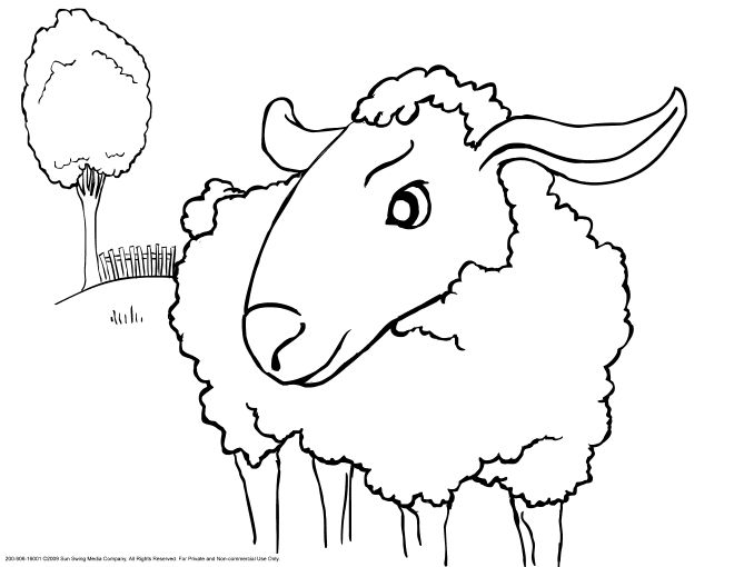 malowanki owce do druku online 