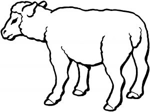 malowanki owce do druku za darmo 1