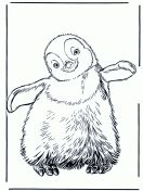 kolorowanki pingwiny do druku 1