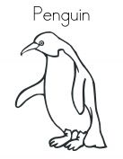kolorowanki pingwiny do druku za darmo 
