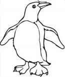 malowanki pingwiny do druku online 1