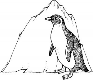 malowanki pingwiny do druku online 2