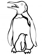 malowanki pingwiny do pobrania 1