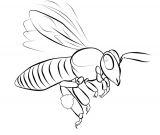 malowanki pszczola do druku online 1