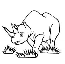 kolorowanki rhinoceros do pobrania online 