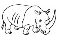 malowanki rhinoceros do druku 