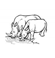malowanki rhinoceros do pobrania 