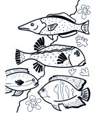 kolorowanki ryby do pobrania online 3