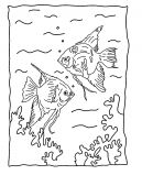 malowanki ryby do druku online 