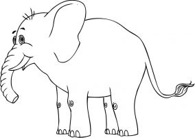 kolorowanki slon do druku online 