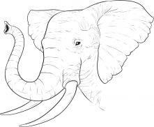 malowanki slon do druku online 